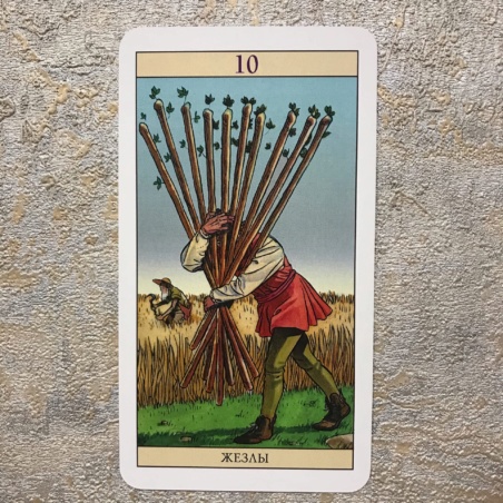 Таро Нью Вижн