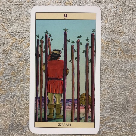 Таро Нью Вижн