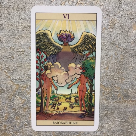 Таро Нью Вижн