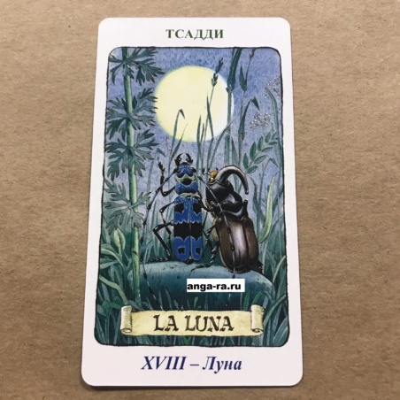 Таро Гномов