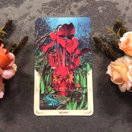 Таро Святой Смерти