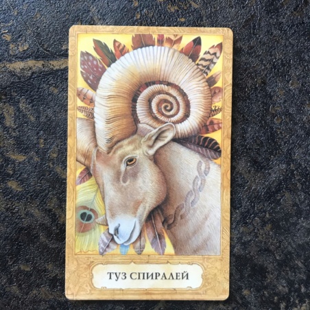 Таро Хризалида