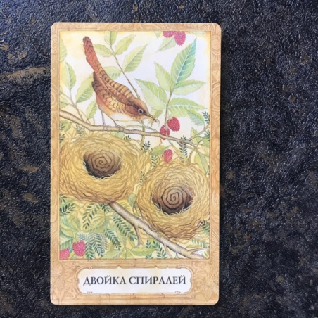 Таро Хризалида