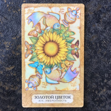 Таро Хризалида