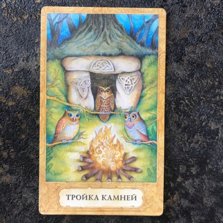 Таро Хризалида