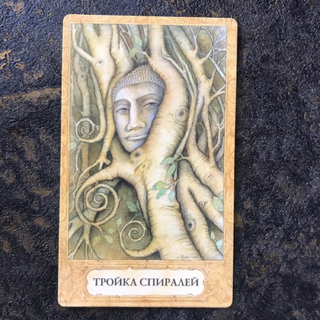 Таро Хризалида