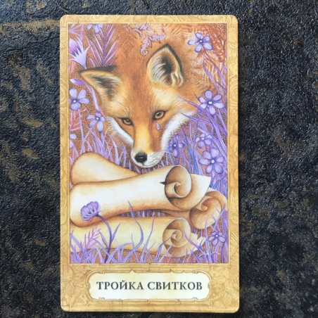 Таро Хризалида