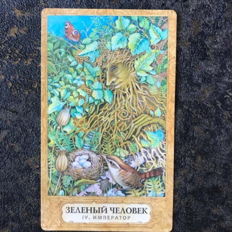 Таро Хризалида