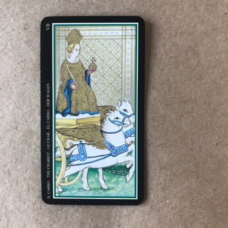 Мини Таро Висконти