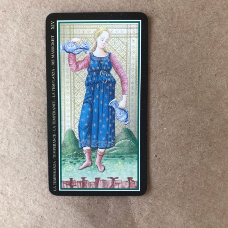 Мини Таро Висконти