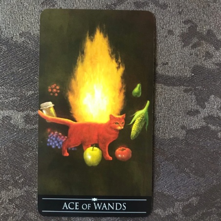 Серебряное Колдовское Таро