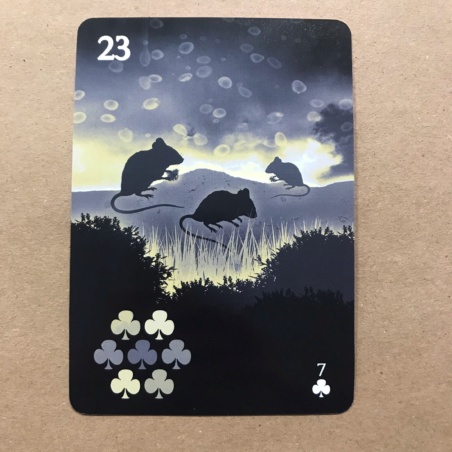 Оракул Ленорман Healing Light Lenormand