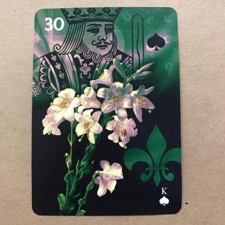 Оракул Ленорман Healing Light Lenormand