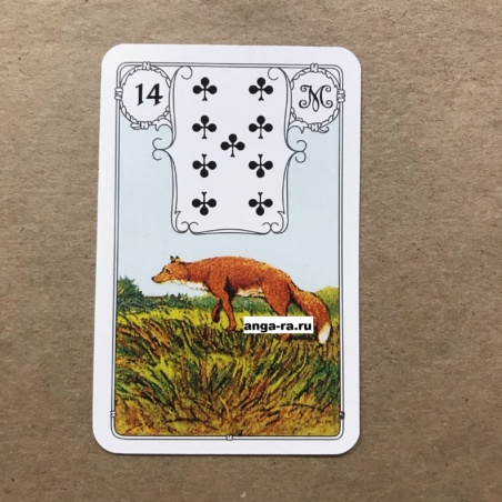 Оракул Ленорман Голубая Сова