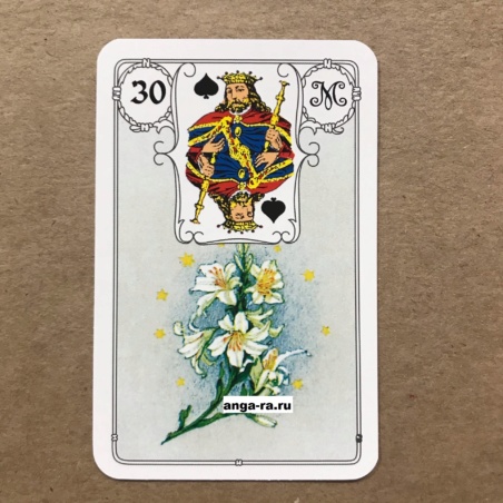 Оракул Ленорман Голубая Сова