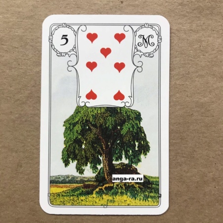 Оракул Ленорман Голубая Сова