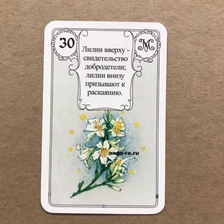 Оракул Ленорман Красная Сова