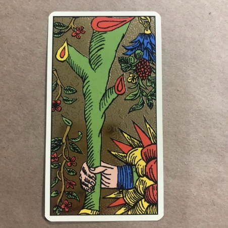 Золотое Марсельское Таро