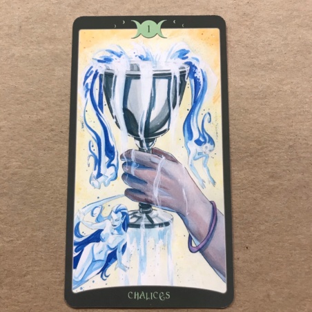 The Book of Shadows Tarot