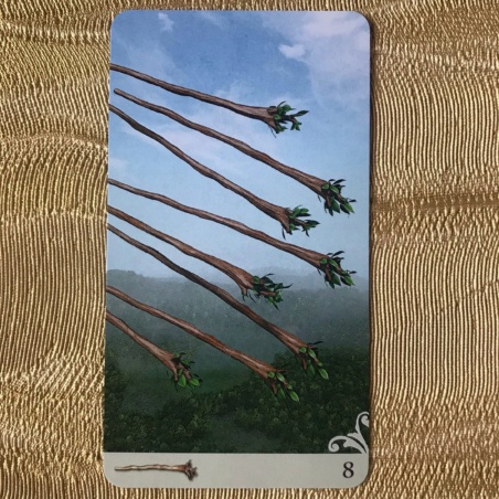 Двустороннее Таро