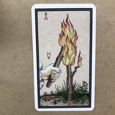 Таро Алхимии Роберта Плейса