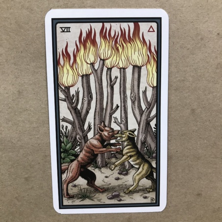 Таро Алхимии Роберта Плейса