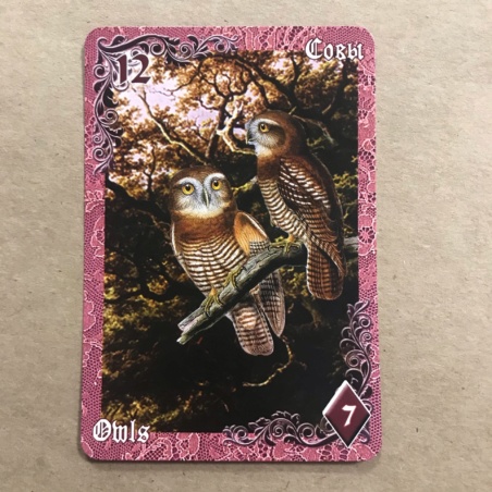 Оракул Ленорман Вишневые и Лиловые Сумерки