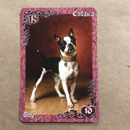 Оракул Ленорман Вишневые и Лиловые Сумерки