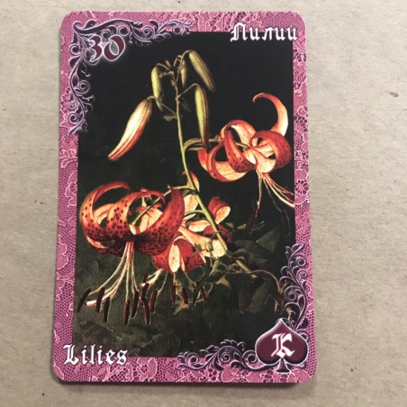 Оракул Ленорман Вишневые и Лиловые Сумерки