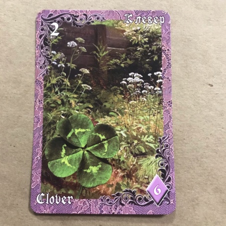 Оракул Ленорман Вишневые и Лиловые Сумерки