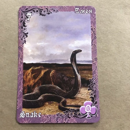 Оракул Ленорман Вишневые и Лиловые Сумерки