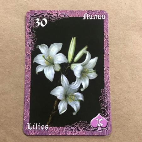 Оракул Ленорман Вишневые и Лиловые Сумерки