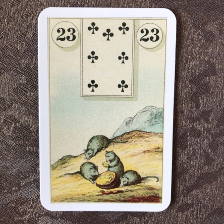 Подарочный набор Оракул Ленорман + Книга