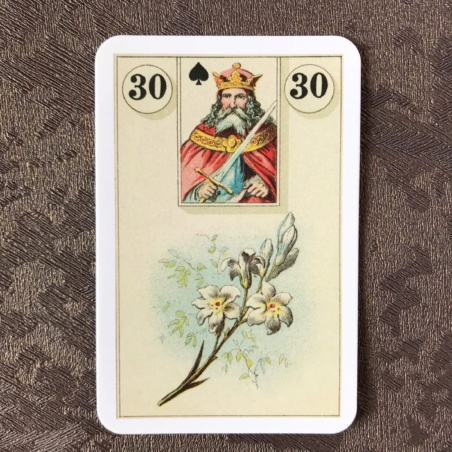 Подарочный набор Оракул Ленорман + Книга