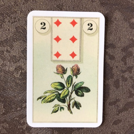 Подарочный набор Оракул Ленорман + Книга