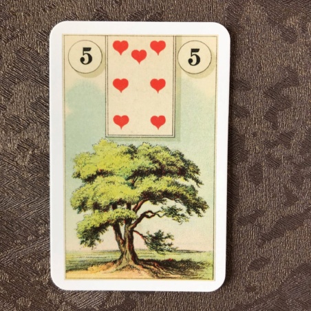 Подарочный набор Оракул Ленорман + Книга