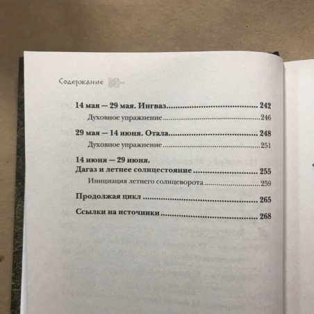 Книга Дней Руническая