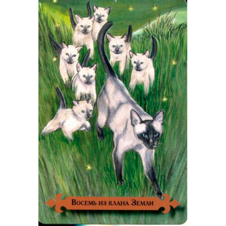 Таро мистических кошек