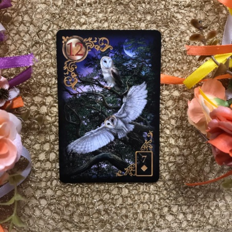 Gilded Reverie Lenormand