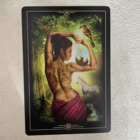 Оракул Видений Чиро Марчетти