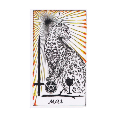 Набор Дикое Неизвестное Таро (карты + книга)