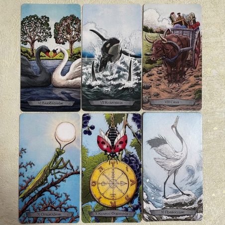 Набор Таро Тотемных Животных книга + карты