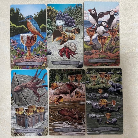 Набор Таро Тотемных Животных книга + карты