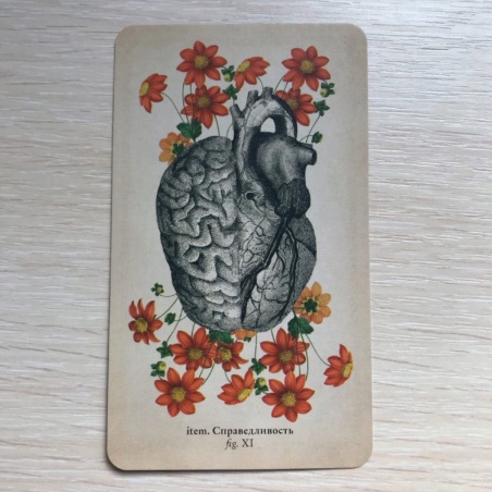 Таро Античной Анатомии