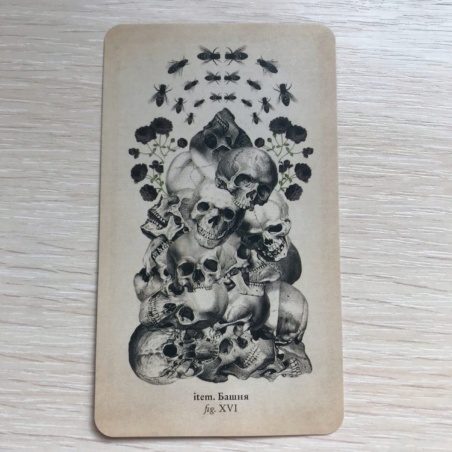 Таро Античной Анатомии