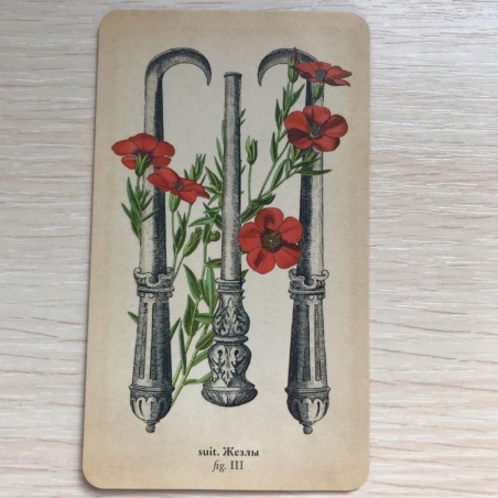 Таро Античной Анатомии