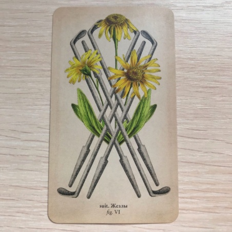 Таро Античной Анатомии