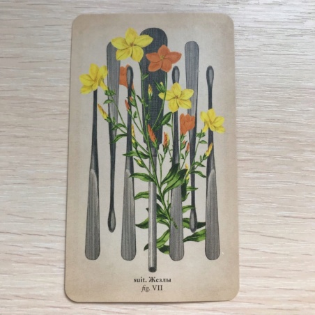 Таро Античной Анатомии