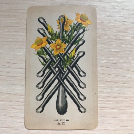 Таро Античной Анатомии