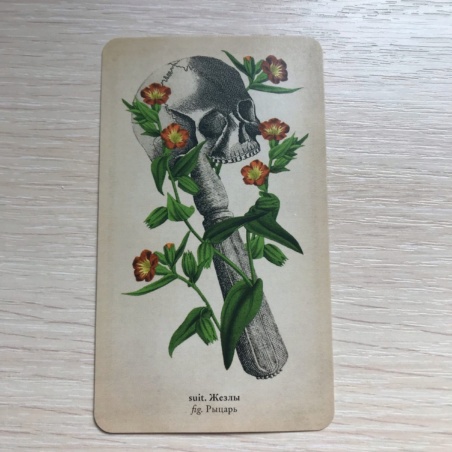 Таро Античной Анатомии